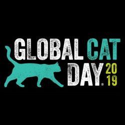 Happy Cat Day to every feline, domestic and feral, across the