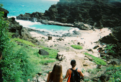 w-a-n-d-r-lust:  emesre:  cockroach cove from my disposable camera