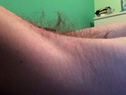 hairypitparadise:  A side on view of my hairy armpit. Smells