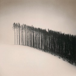 overdose-art:Michael Kenna (British, b.1953), Forest Edge In