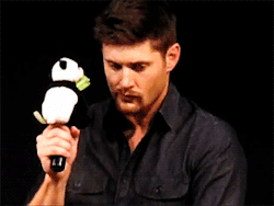 royalcas:  Jensen and his panda (×) 