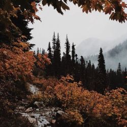 lunareye:🍂⋅ ❈ Let it be Autumn. ❈ ⋅🍂