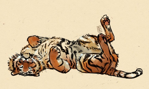 midnightatwalmart:happy new year. have some tigers i did for