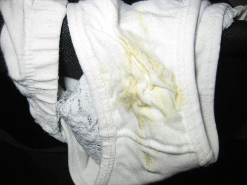 sloggi1970:  #dirty panties # stained # string # wifes dirty panty #soiled # jerk in panties #cum