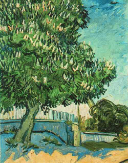 igormaglica:  Vincent van Gogh (1853-1890), Chestnut Tree in