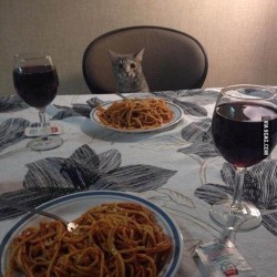 9gag:  Date night. #9gag