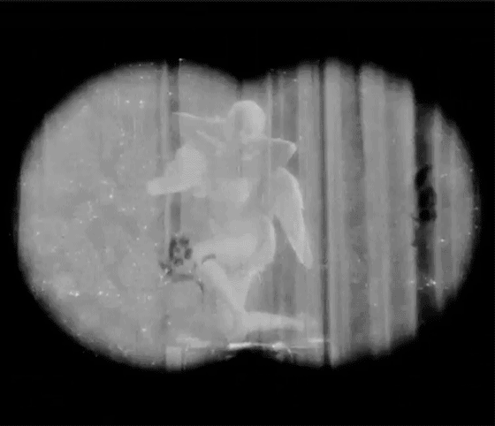 pinkballerinas:Sparkly Valentine vibes from THE LOVE PARADE (1929)
