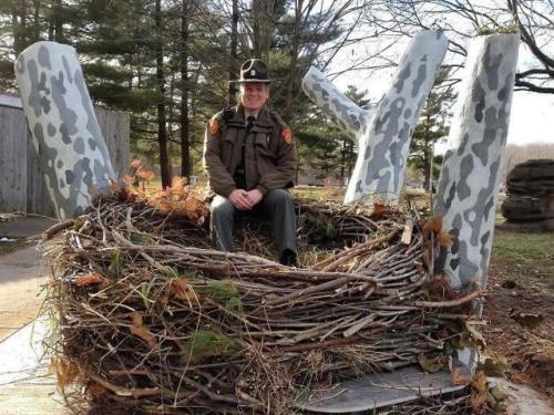 blondebrainpower:  A Bald Eagle’s nest with a Ranger for scale.