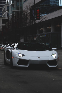 envyavenue:  Charging Bull