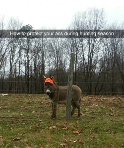 tastefullyoffensive:  When it’s hunting season in Ohio. (via