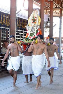 arjuna-vallabha:Parthasarathy Perumal temple procession, Alleppey,