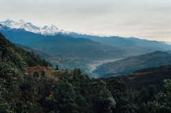 kerrytravel:  Annapurna region, Nepal