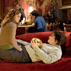 jaidefinichon:  Ay Harryngui, tenemos que estudiar!