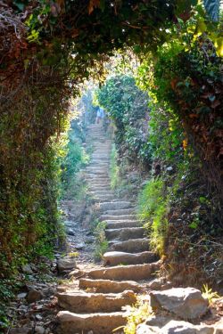 lori-rocks:  Trails, Cinque Terre, Italy, via pinterest