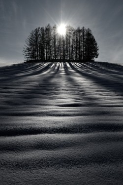 benrogerswpg:  Nature, Biei, Hokkaido, Japan http://bit.ly/W1rykX