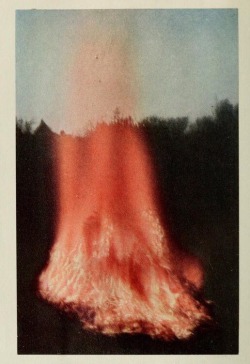 neshamama:bonfire (1910s) / mendieta silueta en fuego (1970s)