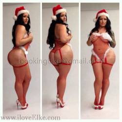 Elke the stallion