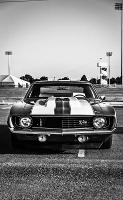 h-o-t-cars:    1969 Chevrolet Camaro Z28 by Michael Lytle 