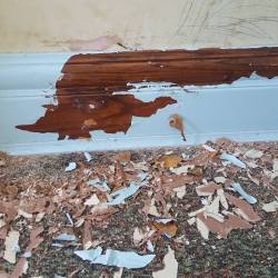 Is there any way to remove paint from wood trim without chemically