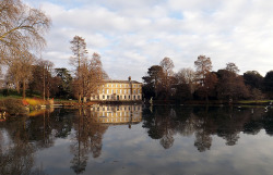 Kew Gardens, London. New Year’s Eve.