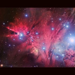 A Fox Fur, a Unicorn, and a Christmas Tree #nasa #apod #nebula