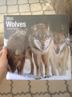 wolves–only:  Merry Christmas! I got a cute wolf calendar!