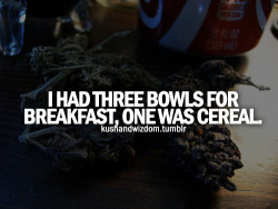 KUSHANDWIZDOM