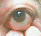 gif-guy:  http://gif-guy.tumblr.com/  The fuck! That’s