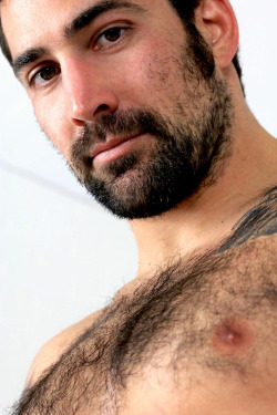Beardburnme