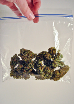 weedorz:  Always more weed on http://weedorz.tumblr.com 