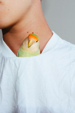dannyil:  look how cute my bird is  