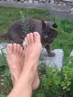 hippie-feet:  Hello cat! 🐈  brandon646