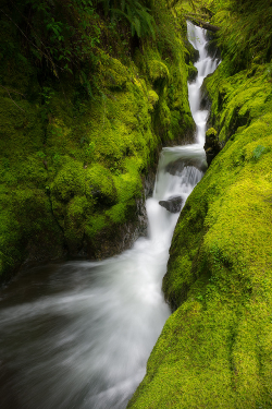 nordvarg:  (500px / Duncan Creek by TJ Thorne)   