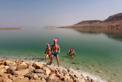 DEAD SEA BUNNIES - the DEAD SEA 2015