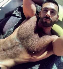 studpits:  Hairy Sweaty smelly Man Pits 595