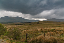 bwwhitney:  luxlit:   bwwhitney: Near Llyn Celyn __________________________________