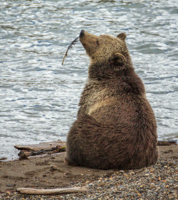 llbwwb:   (via Found A Feather by Mike Clark / 500px) 