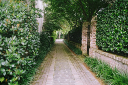 kevinthebird:  Pathways SOOC (by JoshuaTrottier) 