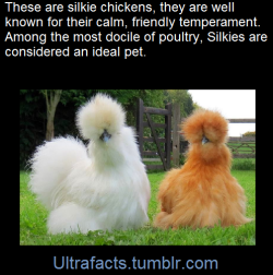 ultrafacts:    (Fact Source) For more facts, follow Ultrafacts