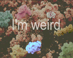 helplng:  △Grunge/Indie△