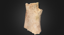 fuckyeaharchaeology:  Oracle Bone Printed in 3DIn celebration