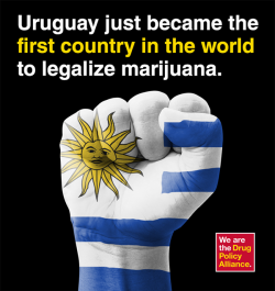 Today, in a closely watched vote, Uruguay lawmakers approved