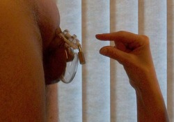 what-is-chastity:   The proper way to size a male chastity device: