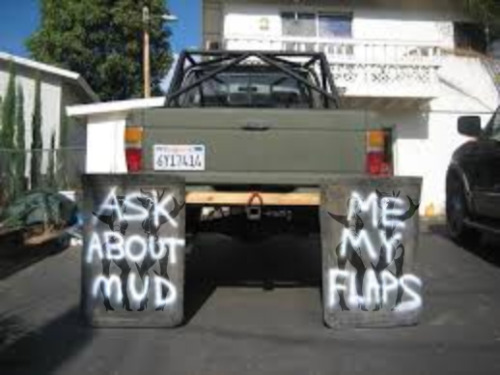 evilscientist3:ask about mud.me my flaps