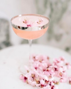 andantegrazioso:   Peach blossoms  cocktail |  heatherkincaidphoto