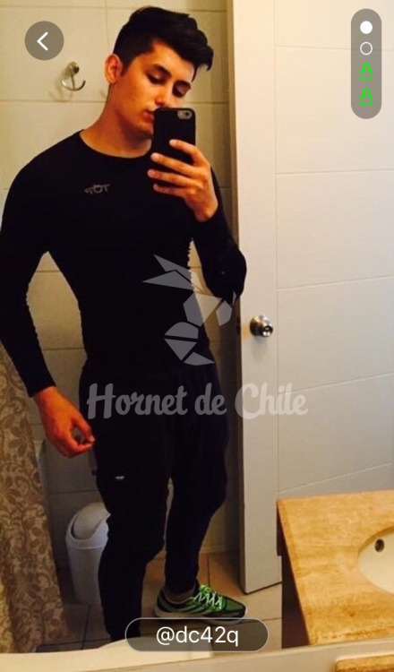 hornetdechile:  