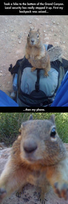 advice-animal:  Grand Canyon Securityhttp://advice-animal.tumblr.com/