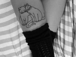 notblazed:  My new cattoo 