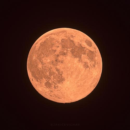 entertainmentnerdly: [OC] The Pink Super Moon. 4/7/2020 via /r/spaceporn