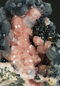 bijoux-et-mineraux:  Rhodochrosite with Calcite on Sphalerite